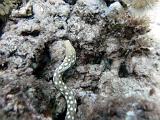 2011-09-05 14-10-03 Steven